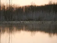 nad rozlewiskiem