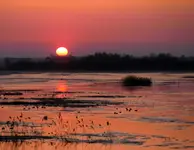 Poranek na rozlewiskach