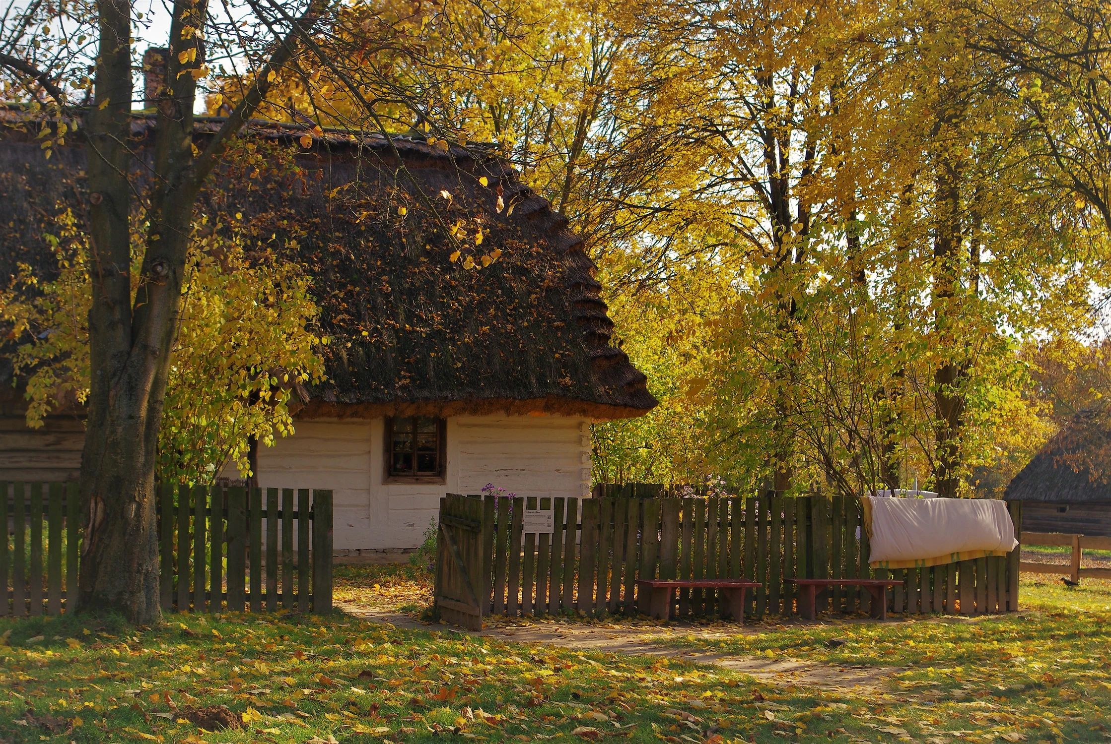 Jesienią na wsi