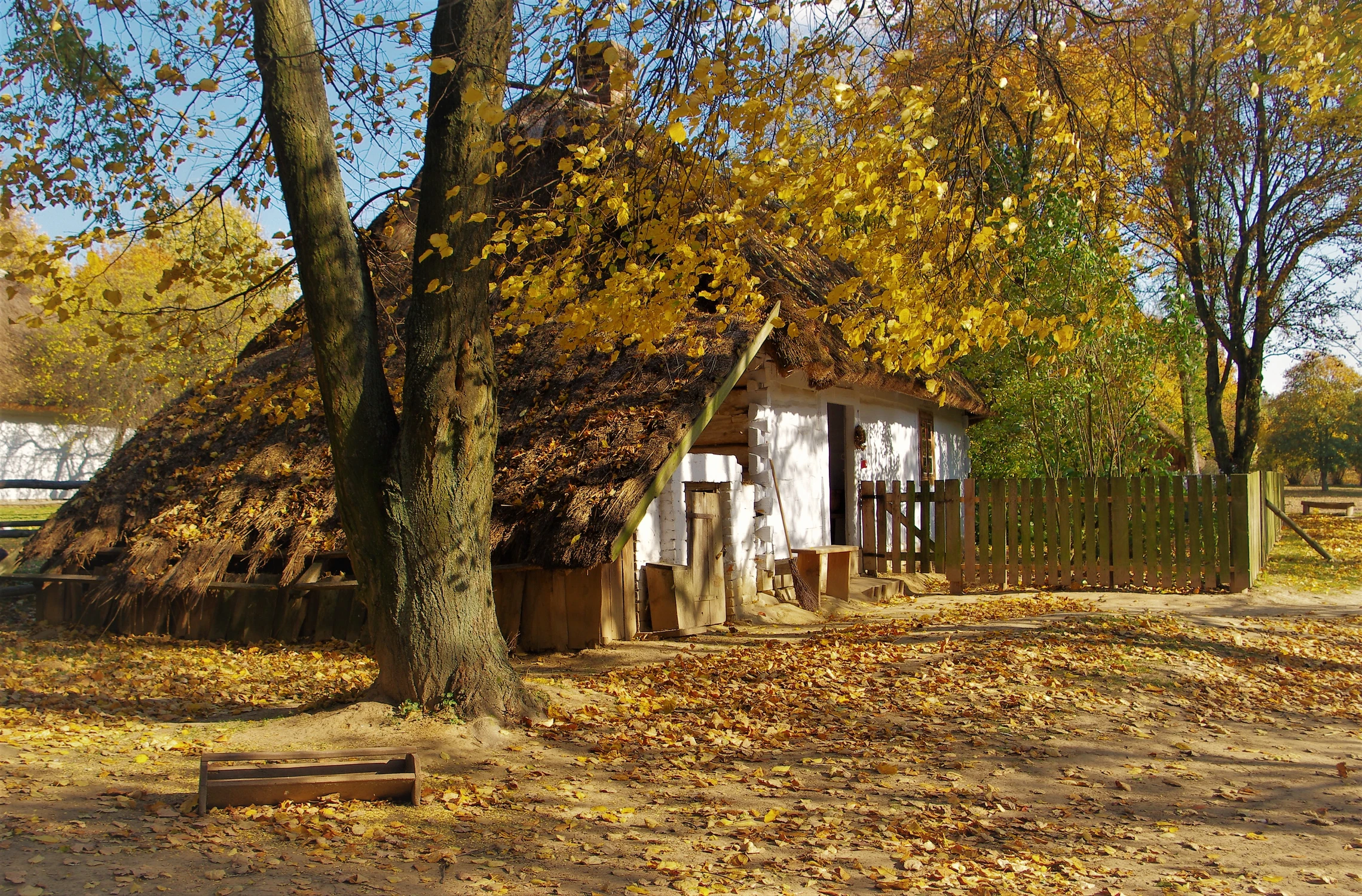 Jesienią na wsi