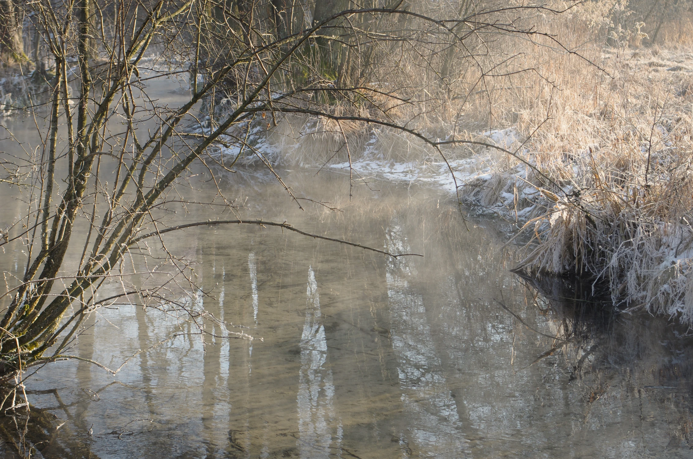 poranek nad Bystrą