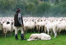 Powrót z hal