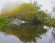 Nad Bystrzycą