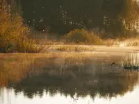 Świat o poranku