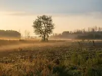Świat o poranku