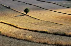 Jesienią na polach