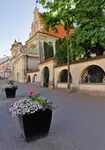 Miasto moje..