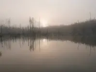 Świat o świcie