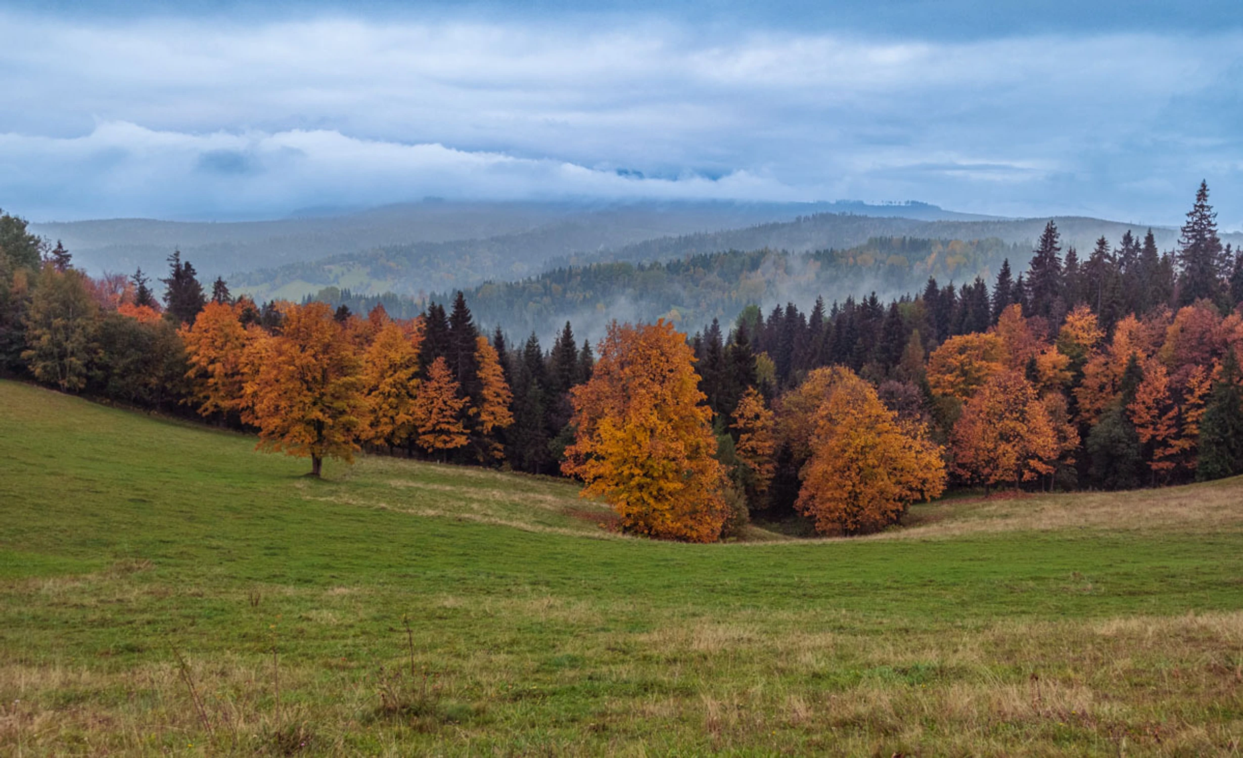 Łapszanka