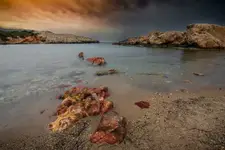 .