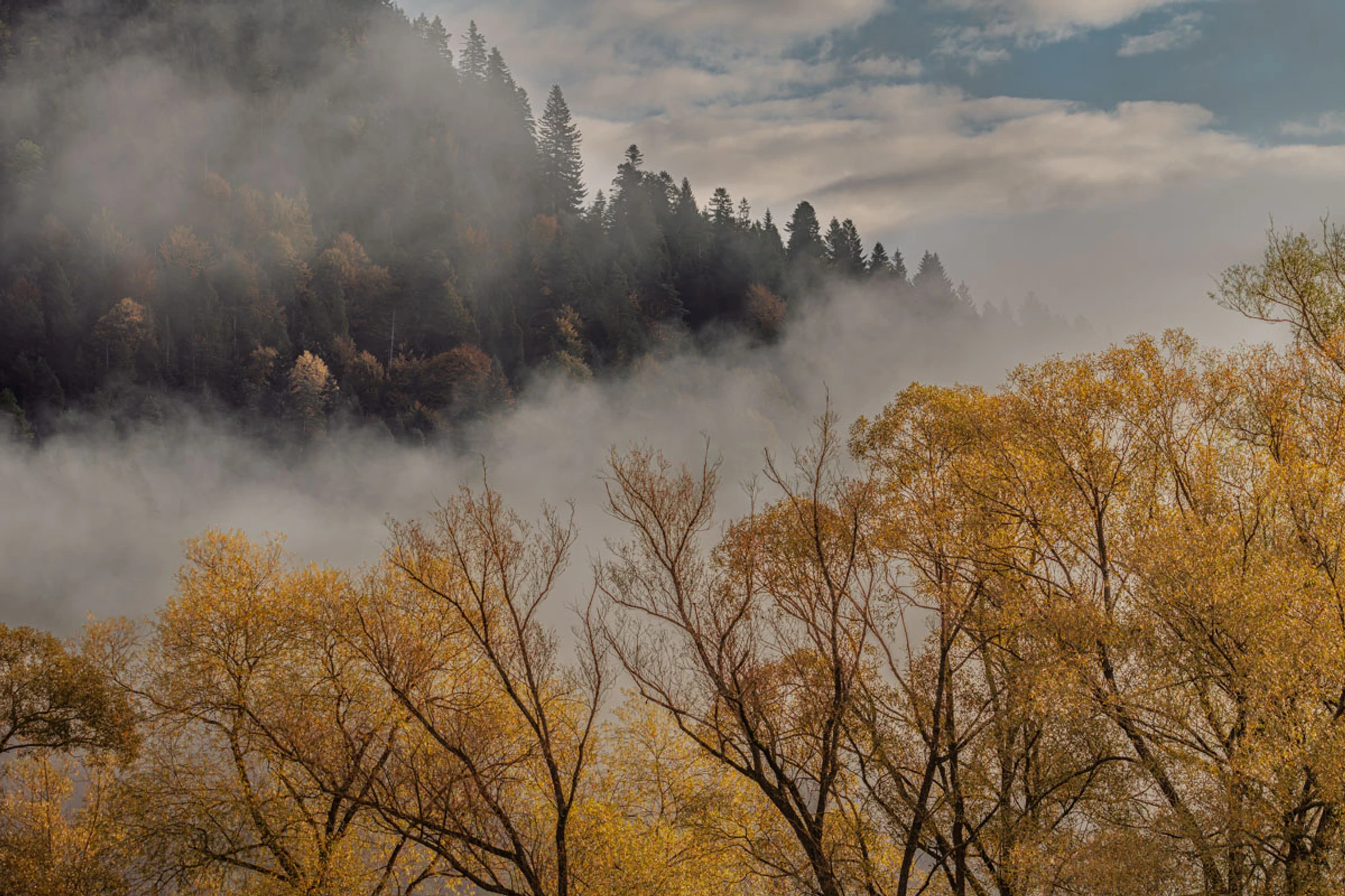 Pieniny