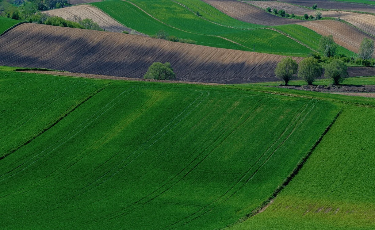 Zbigniew L