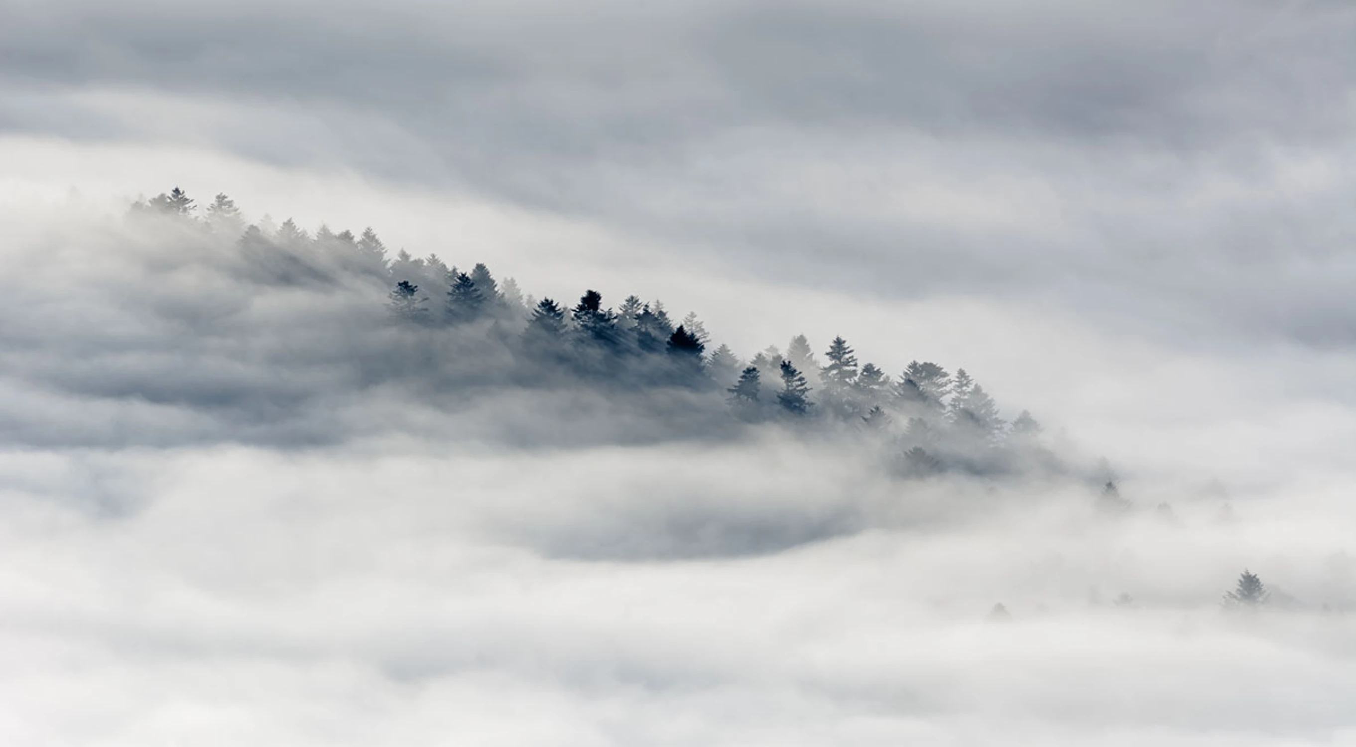 Pieniny