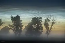Sreberka
