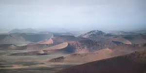 *