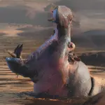 Afrykańskie opowieści -Mój ten kawałek "podłogi"