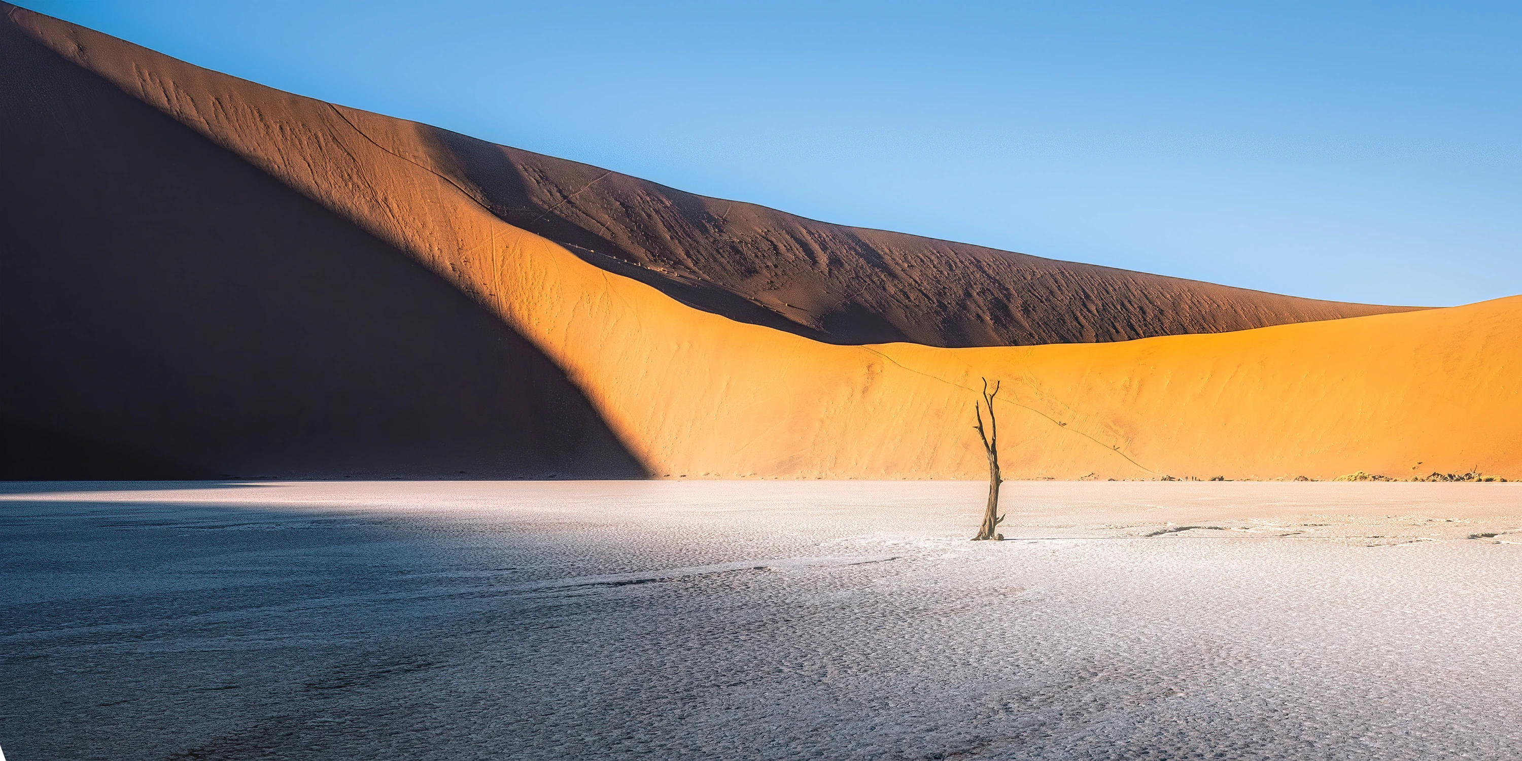 Deadvlei - samotnik
