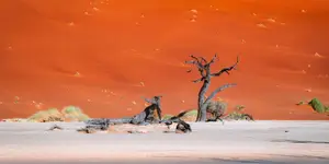 Deadvlei