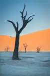 Deadvlei