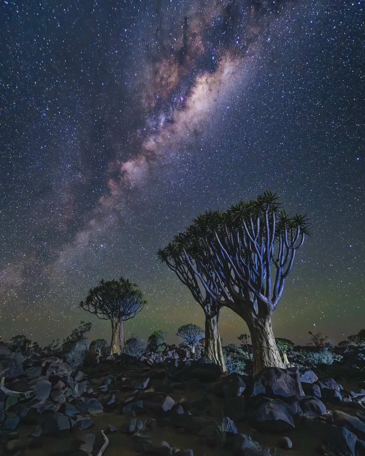 Namibia nocą
