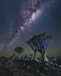 Namibia nocą