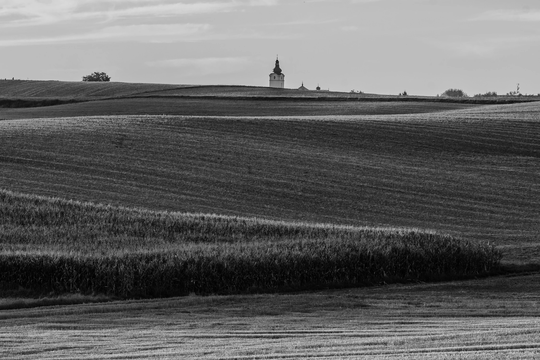 Małopolskie pola w b&w