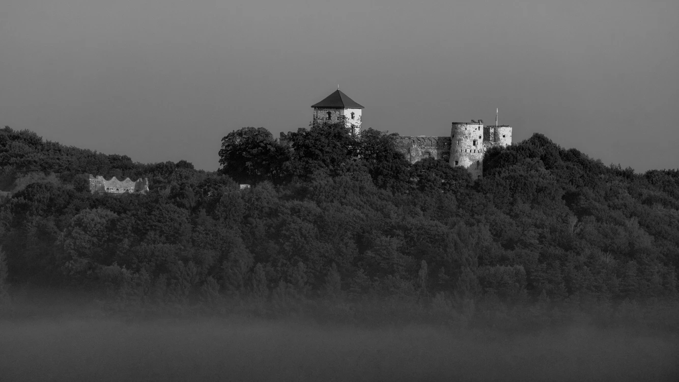 strzyrzyc
