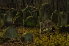 Stary cmentarz żydowski