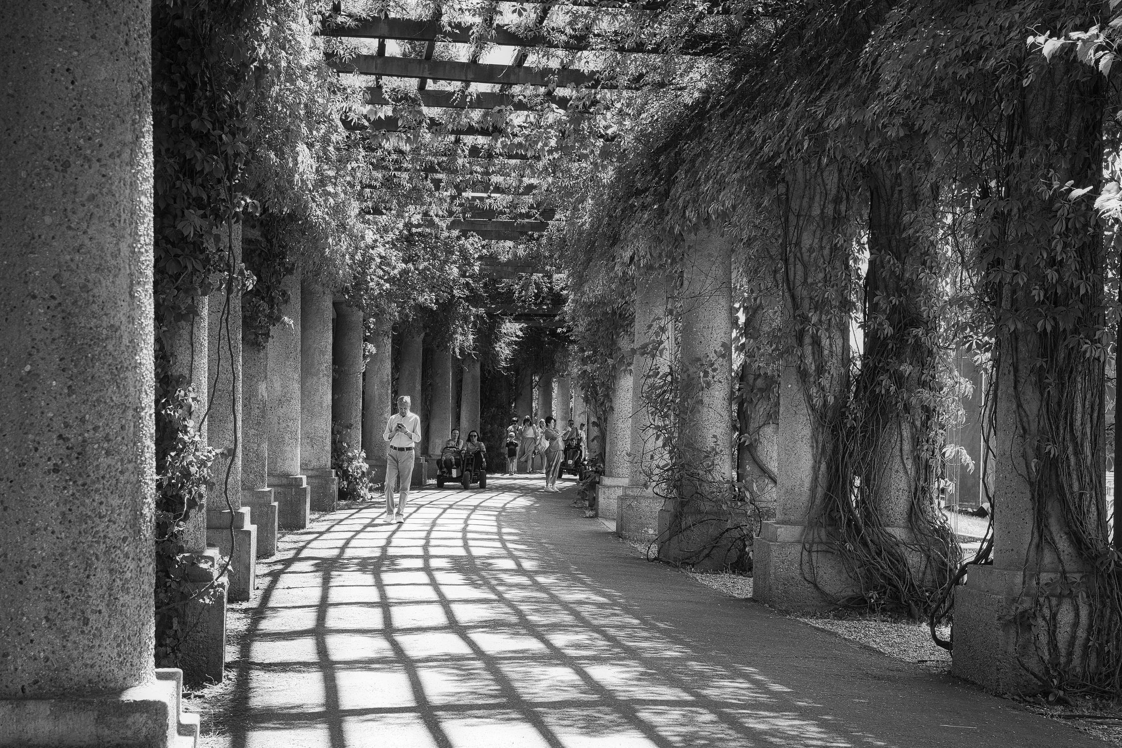 Pergola