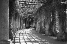 Pergola