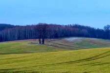 Na przedwiośniu