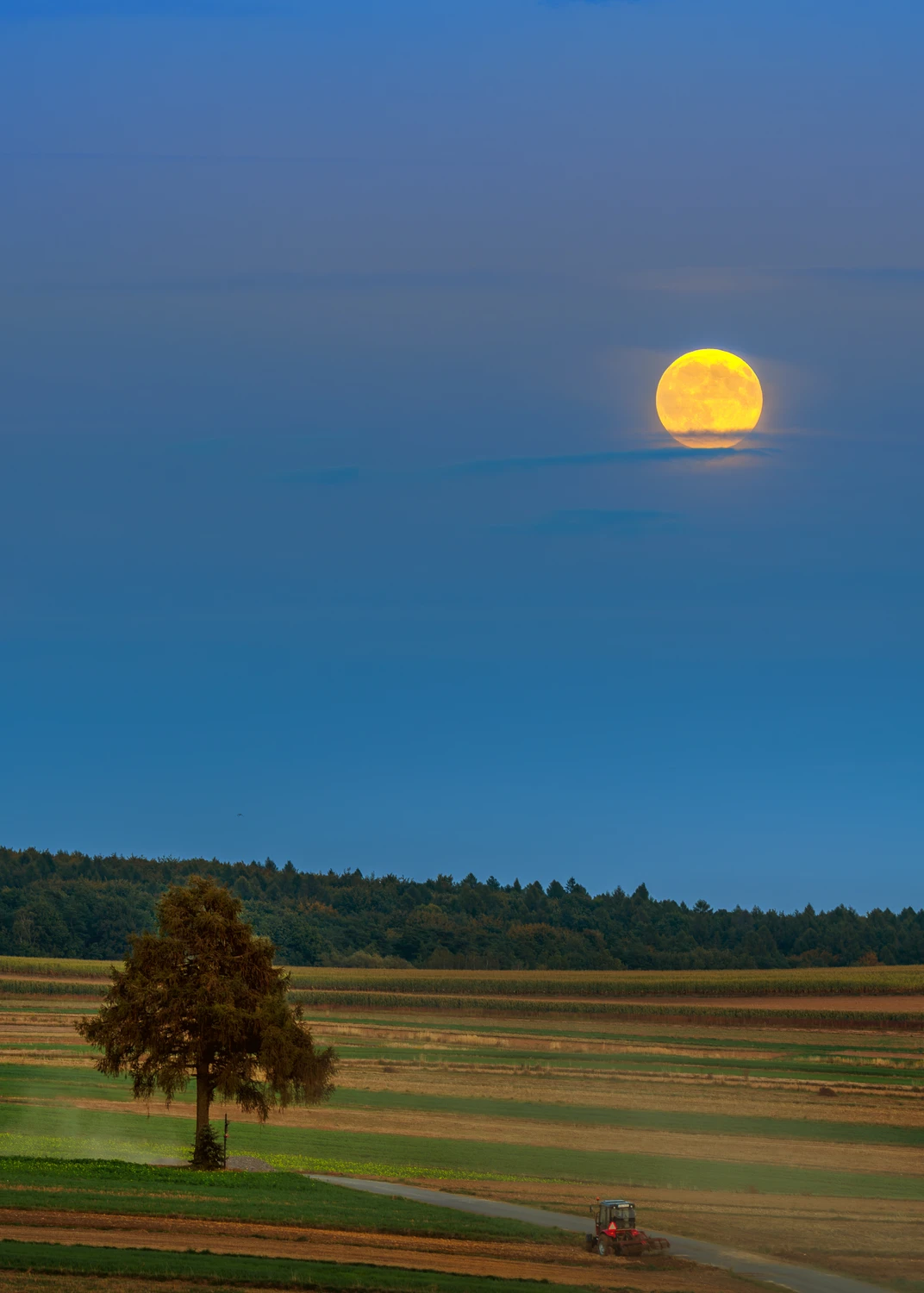 Żniwny księżyc