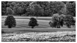 Taki sobie monochrom