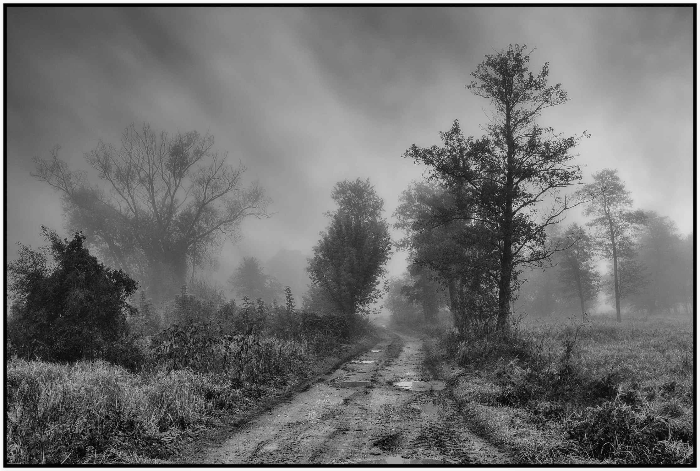 "Droga, którą idę..."