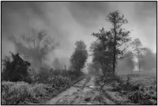 "Droga, którą idę..."