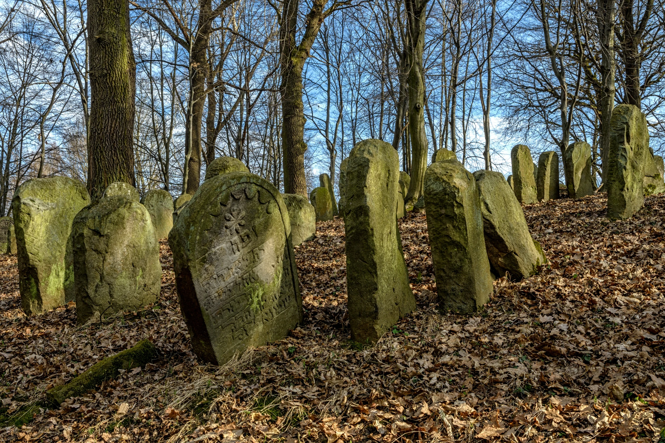 Stary cmentarz żydowski