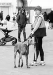 Gdzie on jest