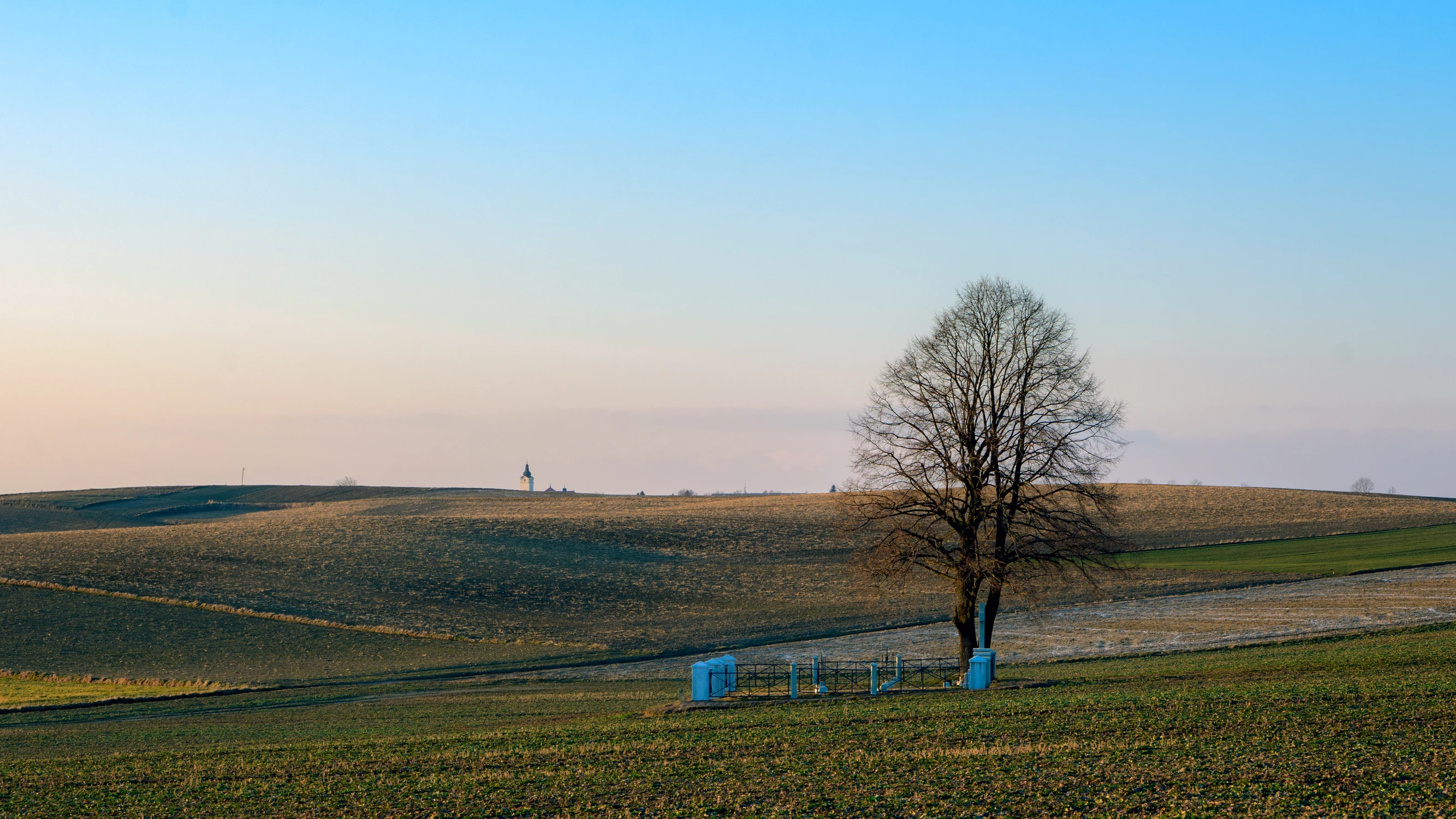 Przedwiośnie