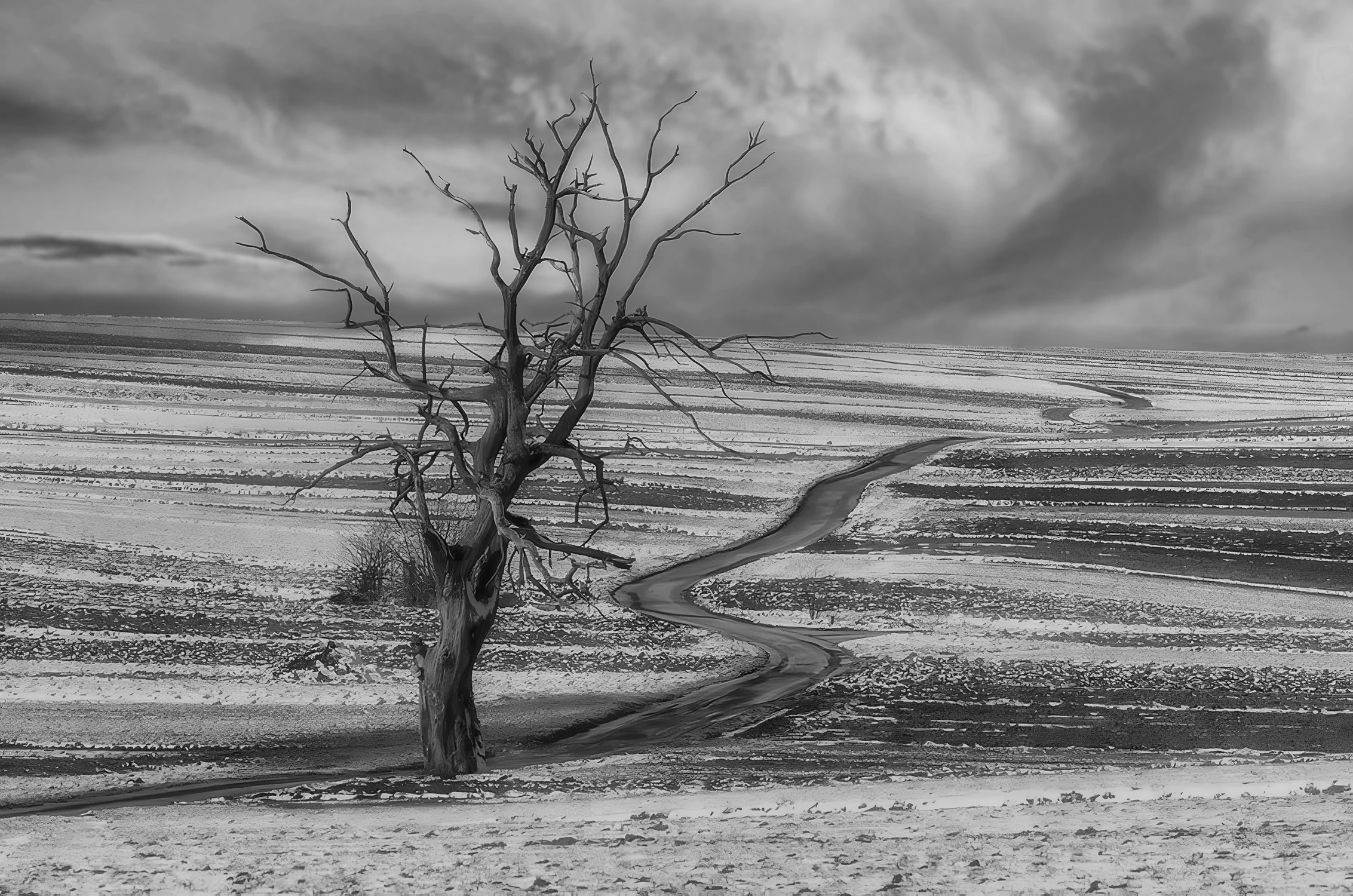 Historia Sułoszowej II