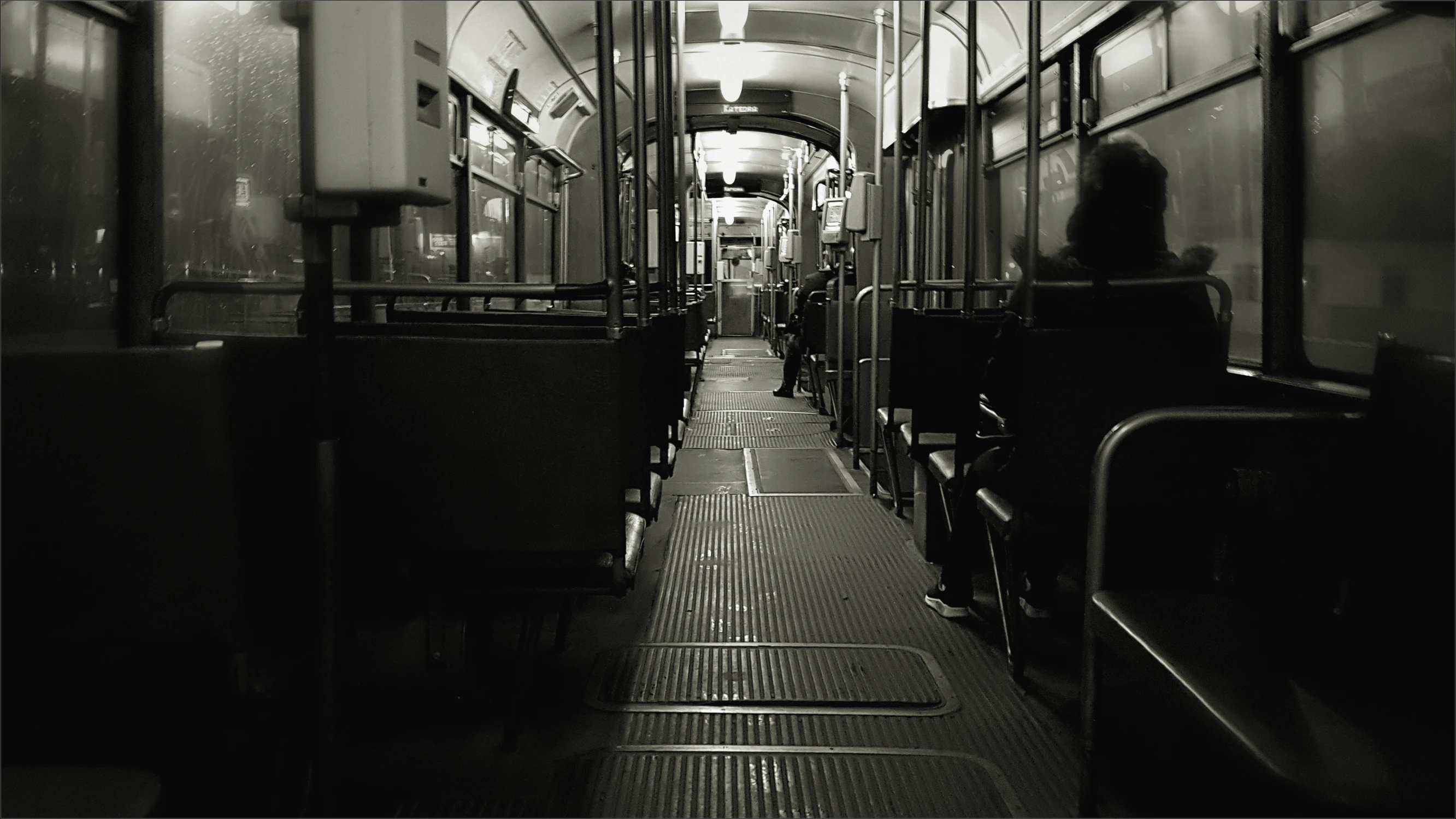 Koszmarny kanara sen o codzienności