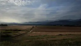  road blues 