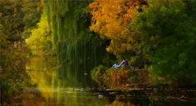 Relax