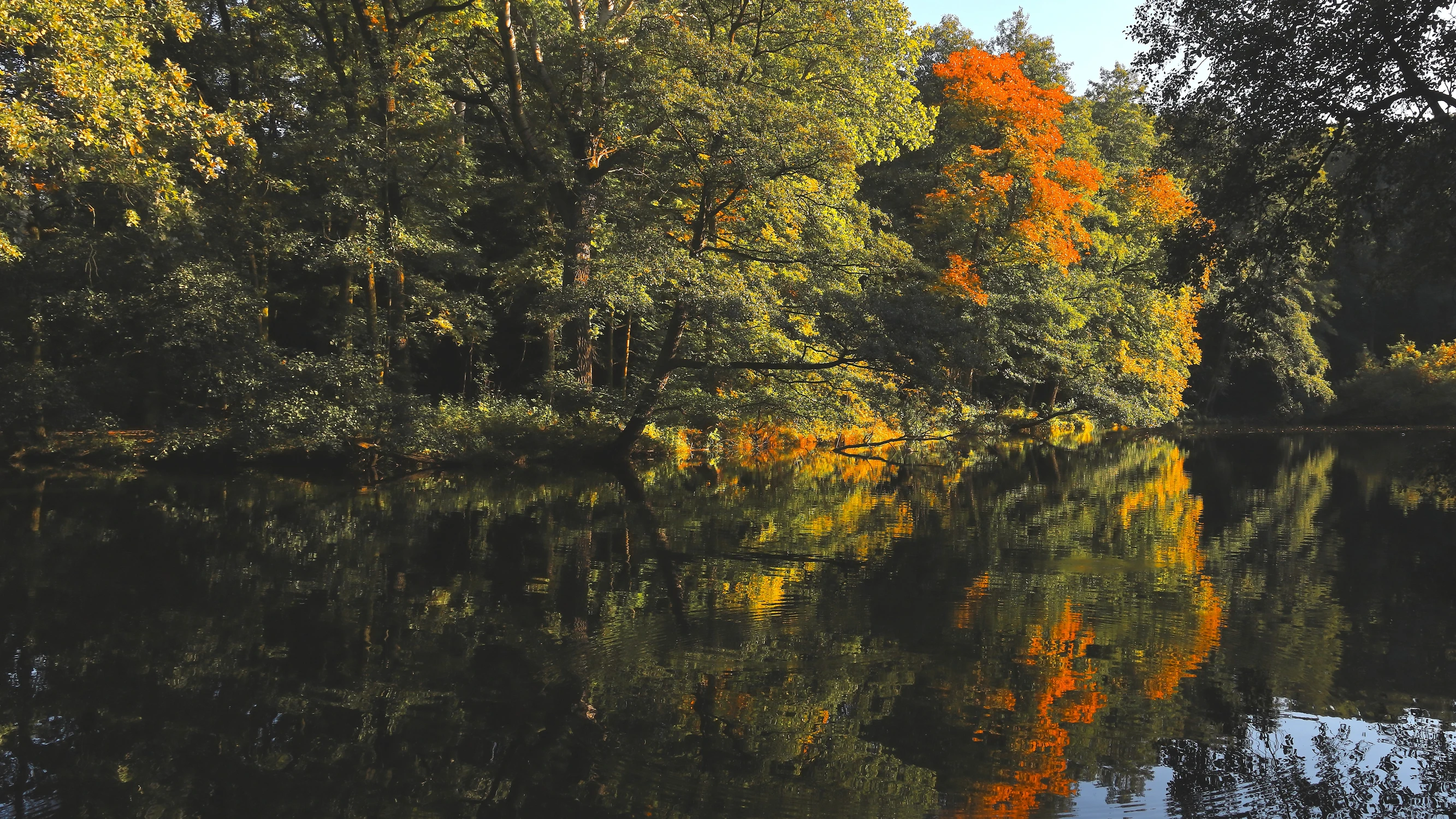 autumn mirror
