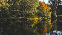 autumn mirror