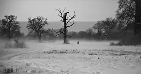 ... przechodząc obok narodzin polskości.