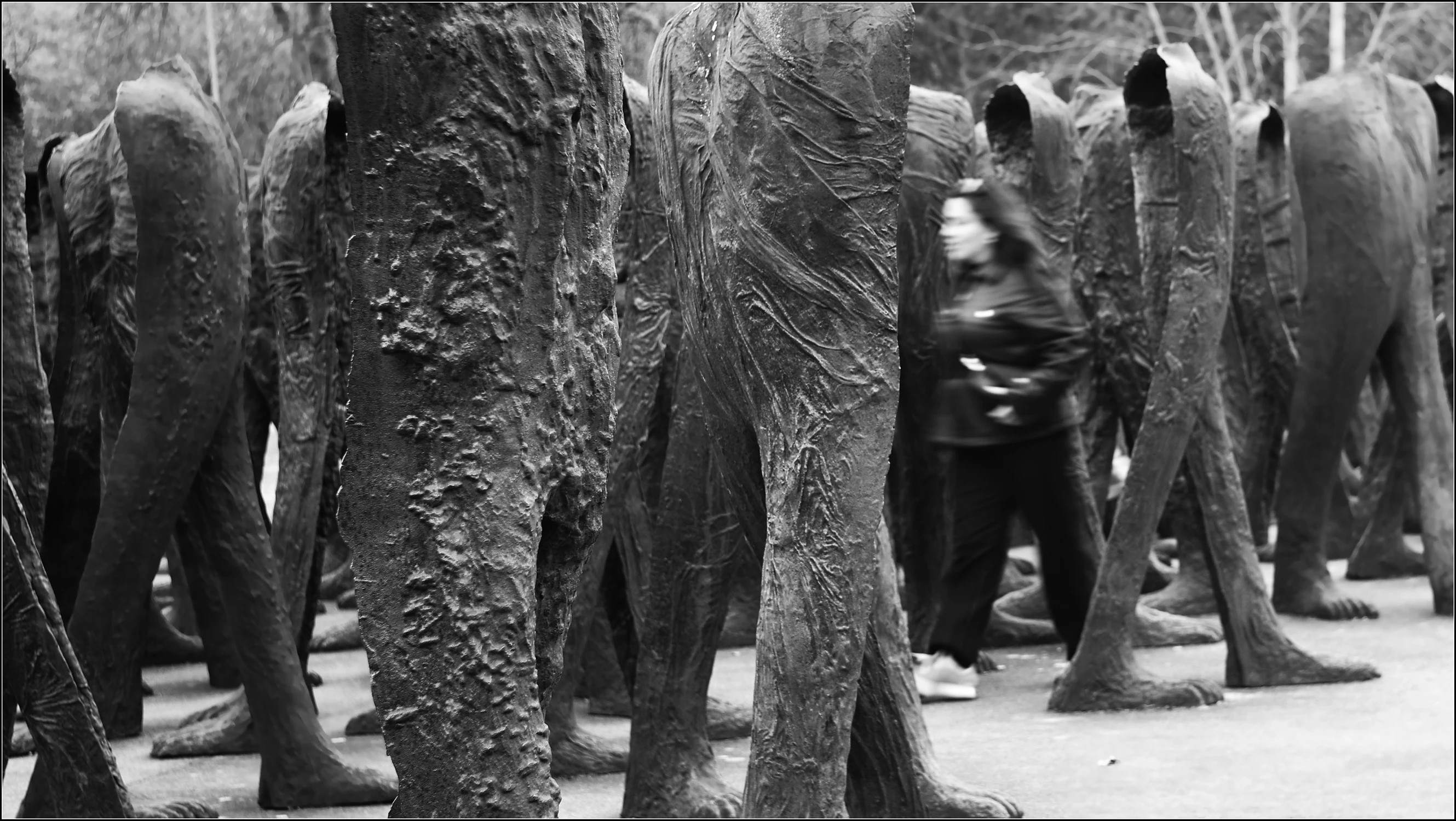 Za czym kolejka ta stoi