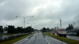 fool in the rain