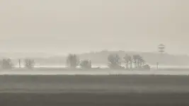 Wieża z widokiem