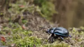 ... tu się pracuje!