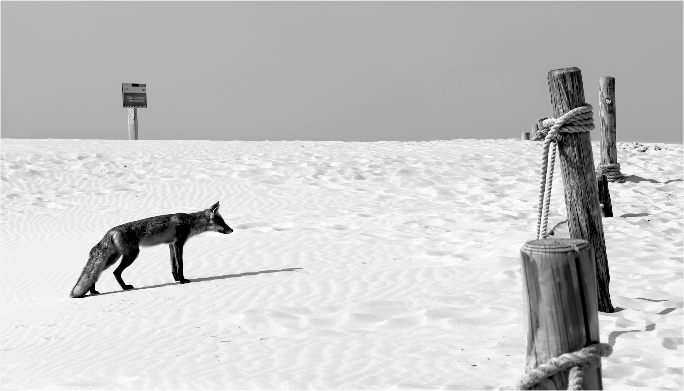 ... przejścia nie ma?